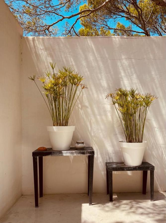 Casa Matelito Villa Playa Migjorn Luaran gambar